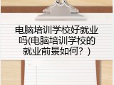 电脑培训学校好就业吗(电脑培训学校的就业前景如何？)
