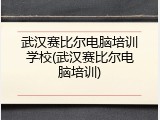 武汉赛比尔电脑培训学校(武汉赛比尔电脑培训)