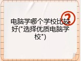 电脑学哪个学校比较好("选择优质电脑学校")