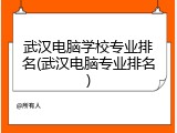 武汉电脑学校专业排名(武汉电脑专业排名)