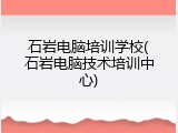 石岩电脑培训学校(石岩电脑技术培训中心)