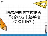 哈尔滨电脑学校吃香吗(哈尔滨电脑学校受欢迎吗？)