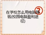 在学校怎么用电脑赚钱(校园电脑盈利途径)