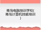 青鸟电脑培训学校(青鸟计算机技能培训)