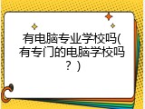 有电脑专业学校吗(有专门的电脑学校吗？)
