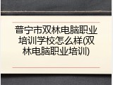 普宁市双林电脑职业培训学校怎么样(双林电脑职业培训)