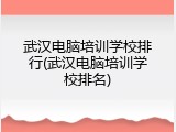 武汉电脑培训学校排行(武汉电脑培训学校排名)