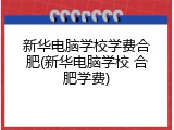 新华电脑学校学费合肥(新华电脑学校 合肥学费)