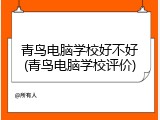 青鸟电脑学校好不好(青鸟电脑学校评价)