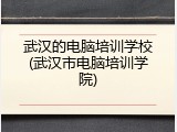 武汉的电脑培训学校(武汉市电脑培训学院)