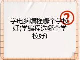 学电脑编程哪个学校好(学编程选哪个学校好)