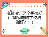 电脑培训那个学校好(&ldquo;哪家电脑学校培训好？&rdquo;)