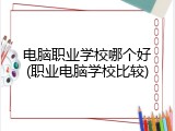电脑职业学校哪个好(职业电脑学校比较)