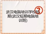 武汉电脑培训学校短期(武汉短期电脑培训班)