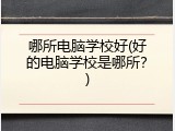 哪所电脑学校好(好的电脑学校是哪所？)