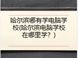 哈尔滨哪有学电脑学校(哈尔滨电脑学校在哪里学？)