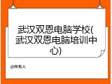 武汉双恩电脑学校(武汉双恩电脑培训中心)