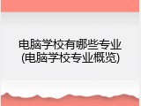 电脑学校有哪些专业(电脑学校专业概览)
