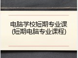 电脑学校短期专业课(短期电脑专业课程)