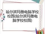 哈尔滨玛雅电脑学校校园(哈尔滨玛雅电脑学校校园)