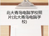 北大青鸟电脑学校照片(北大青鸟电脑学校)