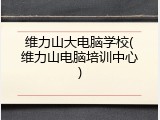 维力山大电脑学校(维力山电脑培训中心)