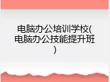 电脑办公培训学校(电脑办公技能提升班)