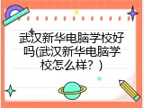 武汉新华电脑学校好吗(武汉新华电脑学校怎么样？)