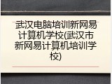 武汉电脑培训新网易计算机学校(武汉市新网易计算机培训学校)