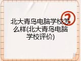 北大青鸟电脑学校怎么样(北大青鸟电脑学校评价)