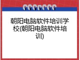 朝阳电脑软件培训学校(朝阳电脑软件培训)