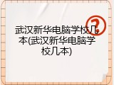 武汉新华电脑学校几本(武汉新华电脑学校几本)
