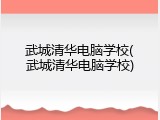 武城清华电脑学校(武城清华电脑学校)