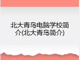 北大青鸟电脑学校简介(北大青鸟简介)