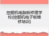 挖掘机电脑板修理学校(挖掘机电子板维修培训)