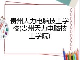 贵州天力电脑技工学校(贵州天力电脑技工学院)