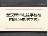 武汉新华电脑学校校园(新华电脑学校)
