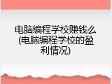 电脑编程学校赚钱么(电脑编程学校的盈利情况)