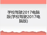 学校驾驶2017电脑版(学校驾驶2017电脑版)