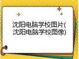 沈阳电脑学校图片(沈阳电脑学校图像)
