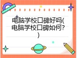 电脑学校口碑好吗(电脑学校口碑如何？)