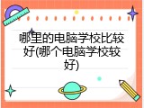 哪里的电脑学校比较好(哪个电脑学校较好)