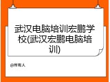 武汉电脑培训宏鹏学校(武汉宏鹏电脑培训)