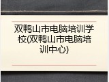 双鸭山市电脑培训学校(双鸭山市电脑培训中心)