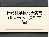 计算机学校北大青鸟(北大青鸟计算机学院)