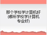 那个学校学计算机好(哪所学校学计算机专业好)