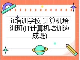 it培训学校 计算机培训班(IT计算机培训速成班)