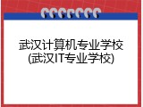 武汉计算机专业学校(武汉IT专业学校)