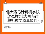 北大青鸟计算机学校怎么样(北大青鸟计算机教学质量如何)