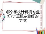 哪个学校计算机专业好(计算机专业好的学校)